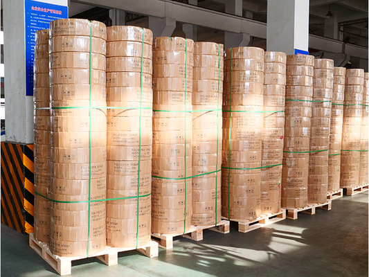Macchina per la fabbricazione di cinghie in PET a vite da 65 mm 250 kg/h Estrusore a cinghie riciclabile al 100%