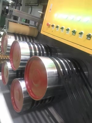 Cinghia ad alto rendimento del polipropilene pp che rende a macchina Plasticization eccellente