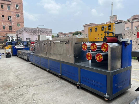 Linea dell'estrusione della cinghia dell'ANIMALE DOMESTICO di rendimento elevato con la larghezza di controllo 9-32mm dello SpA