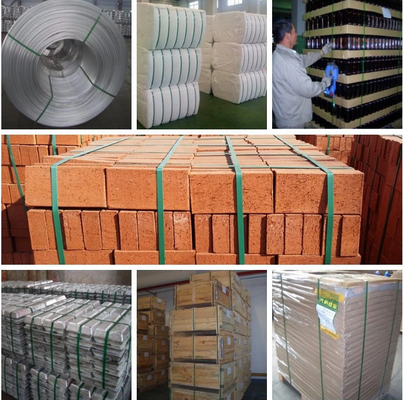 250 kg/h Macchina per la confezione di cinture di imballaggio di mattoni in PET in plastica da 9-32 mm per la fabbricazione di cinture ad alta efficienza