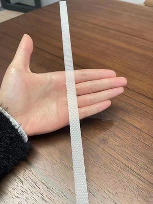 Linea di estrusione per reggette in polipropilene PP all'avanguardia con sistema di controllo PLC