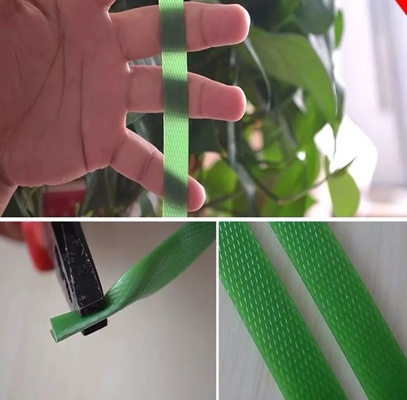 Cintura di imballaggio in plastica PET resistente al freddo, cintura di imballaggio in PET superresistente, cintura di legame verde, Modello: PET-16080