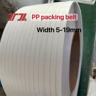 Cinture di imballaggio automatiche in PP da 519 mm di polipropilene in PP per imballaggio in cartone