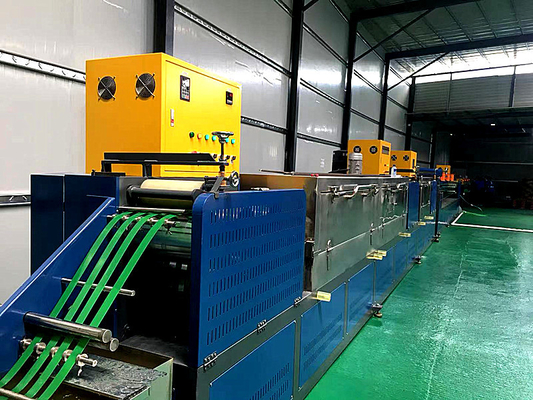 Linea larghezza dell'estrusione della cinghia dell'ANIMALE DOMESTICO di 5-19mm per produzione della cinghia e del nastro