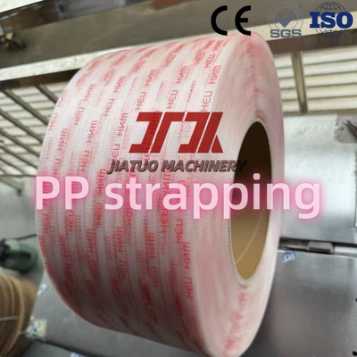 Strappa di imballaggio in plastica in PP con larghezza 5-19 mm colore personalizzato per l' imballaggio di uova in cartone