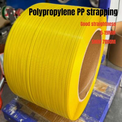 Logo personalizzato Pp cintura di imballaggio Pp cintura di plastica 5-19 mm con lunghezza lunga