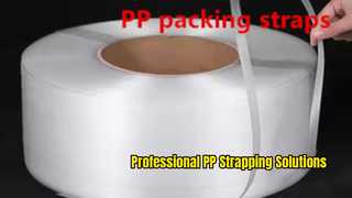 Cinture in PP